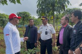 Wagub NTT menilai pertanian SAE Lapas Kupang perkuat ekonomi lokal