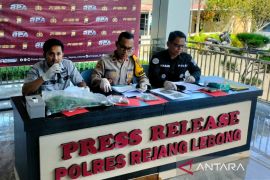 Polres Rejang Lebong kejar pemasok ratusan batang bibit ganja