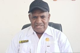 Pemprov sebut amdal jadi rujukan utama pembangunan KIPP Papua Pegunungan