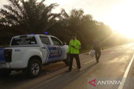 Tanpa identitas, mayat bertato penuh luka ditemukan di Trans Kalimantan
