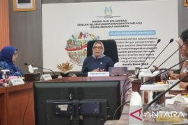 Jaga kesehatan mental, Menteri PPPA minta anak laki-laki berani bicara