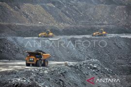 Bapenda Kaltim: Pendapatan pajak alat berat melonjak 3.000 persen