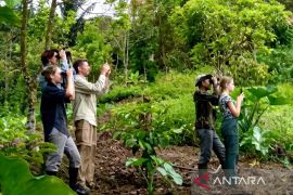 Banjir Bandang Batang Toru hentikan ekowisata, wisatawan asing batal berkunjung
