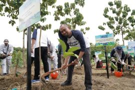PEPC ADK tanam 14.727 pohon di Rembang untuk kurangi emisi karbon