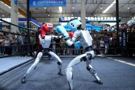 Robot humanoid buka peluang baru di pasar konsumen China