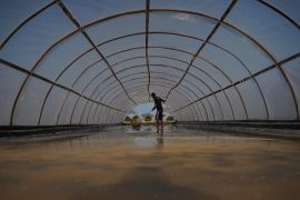 KKP terapkan  teknologi Tunnel-SWRO untuk  tingkatkan kualitas garam rakyat