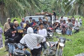 Polres Donggala pastikan situasi kondusif di kawasan kebun sawit
