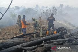 Karhutla seluas 58,7 Ha di Aceh Barat sudah padam 100 persen