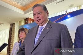 Menko Airlangga minta bank beri penjelasan ke Moody's