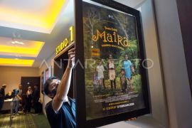 Teman Tegar Maira: Petualangan Persahabatan dan Penyelamatan Hutan