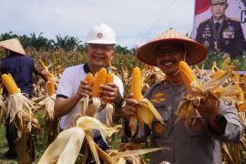 Polres Langkat fasilitasi akses KUR dan serapan Bulog untuk perkuat ketahanan pangan