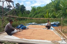 Polsek Mentarang Mendukung Swasembada Pangan