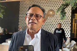 Dewan Pers sebut dominasi platform global memicu PHK di media