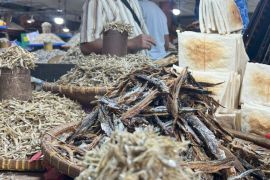 Kemenkum dorong 249 Koperasi Merah Putih Halsel Miliki Merek Kolektif