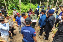 Gakkum Kemenhut kejar jaringan pemburu terkait kematian gajah di Riau
