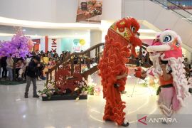 Barongsai di Indonesia: Simbol harmoni budaya dan capaian prestasi