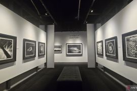 Karya fotografer Indonesia dipamerkan di Uni Emirat Arab