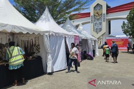 DPR RI dorong pembentukan pansus percepatan ekonomi perbatasan Papua