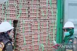 BKHIT Maluku periksa 33.500 kilogram telur Surabaya sebelum distribusi