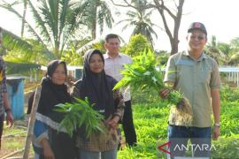 Pemerintah Bangka Barat bantu poktan kuatkan ketahanan pangan keluarga