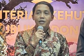 Gajah mati di Riau, Menhut: Tiada ampun bagi pembunuhan satwa langka