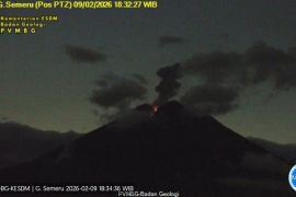 Gunung Semeru kembali erupsi dengan letusan setinggi 900 meter