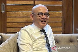 Wamenlu: Indonesia akan bahas Solusi Dua Negara pada KTT D-8