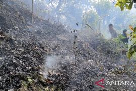 Satgas terpadu Parimo perkuat patroli pembersihan sisa karhutla