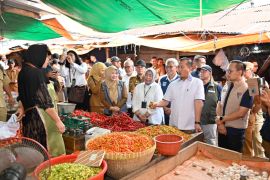 Harga cabai tembus Rp95 Ribu, Pemprov NTB turun tangan