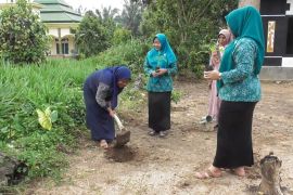 Warga di desa Lampung Timur menanam pepaya, SPPG siap tampung hasil panen