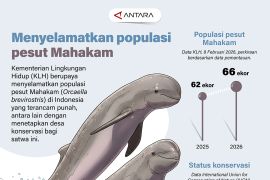 Menyelamatkan populasi pesut Mahakam