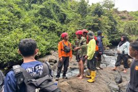 Lansia 65 tahun di Lombok Timur ditemukan selamat di tengah hutan