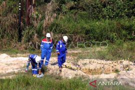 PHE tawarkan 500 sumur tidak aktif ke mitra strategis 2026