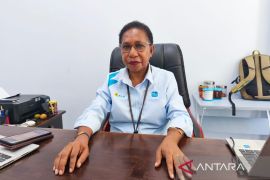 Kementerian ESDM-PLN perluas akses listrik di Papua Tengah lewat BPBL