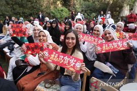 Perpaduan budaya warnai perayaan Imlek "Tahun Kuda" di Kairo, Mesir