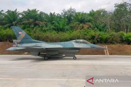 TNI AU: Pengiritan BBM tidak kendurkan aktivitas pengawasan udara