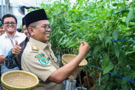 Gubernur Banten dorong konsep agro ekosistem di pesantren