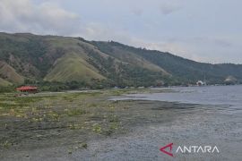 DLHK Papua perkuat pengelolaan jasa lingkungan dan hutan lestari