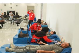 Peringatan Bulan K3 Nasional, PT Poso Energy pastikan karyawan bebas tekanan