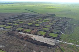 KKP mulai bangun tambak udang terintegrasi di Waingapu, Sumba Timur senilai Rp7,2 triliun