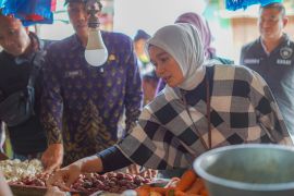 Bapanas: Pengendalian harga bahan pokok di Kediri bagus