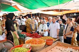 Paradoks daerah produsen cabai rawit