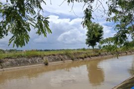 Gubernur Lampung ingatkan pentingnya revitalisasi sungai untuk mitigasi bencana