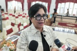 Komisi VII ingatkan pemda keselamatan objek wisata pascabencana