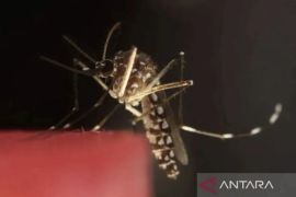 Dinkes Riau catat 238 kasus malaria sejak awal 2026, hampir semuanya di Rokan Hilir