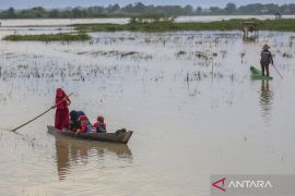 Stranded by floods, students in Kajejeng paddle through rice fields to reach school