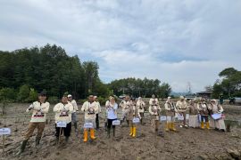 Anggota DPR tanam 1.000 pohon mangrove dan bagikan sembako di Way Ratai