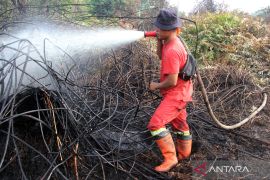 BMKG sebut 15 titik panas terpantau di Sumatera Utara