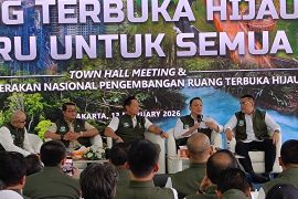 Indonesia's regional govts urged to align spatial, green plans