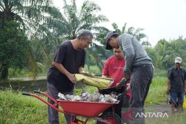 BKKBN Sumselgalakkan gotongroyong dukung gerakan Indonesia Asri